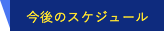 今後のスケジュール